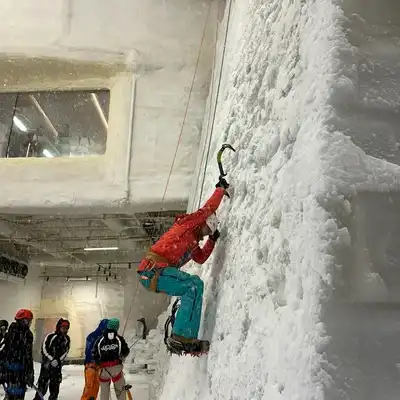 侯飞慧